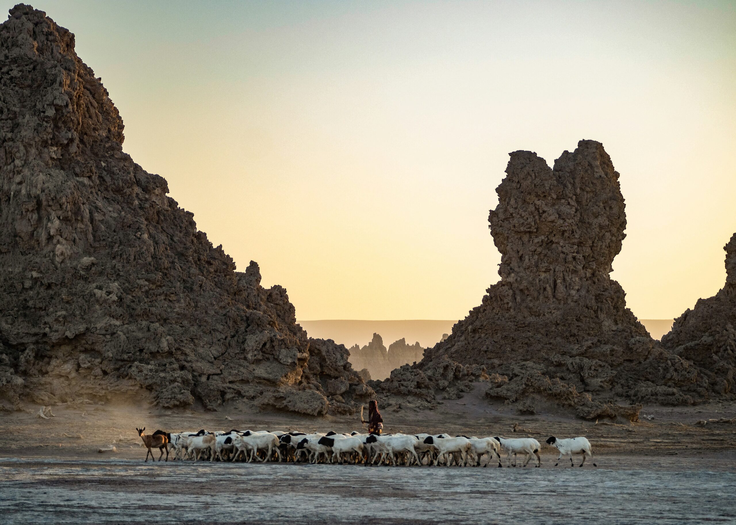 Djibouti Process Service