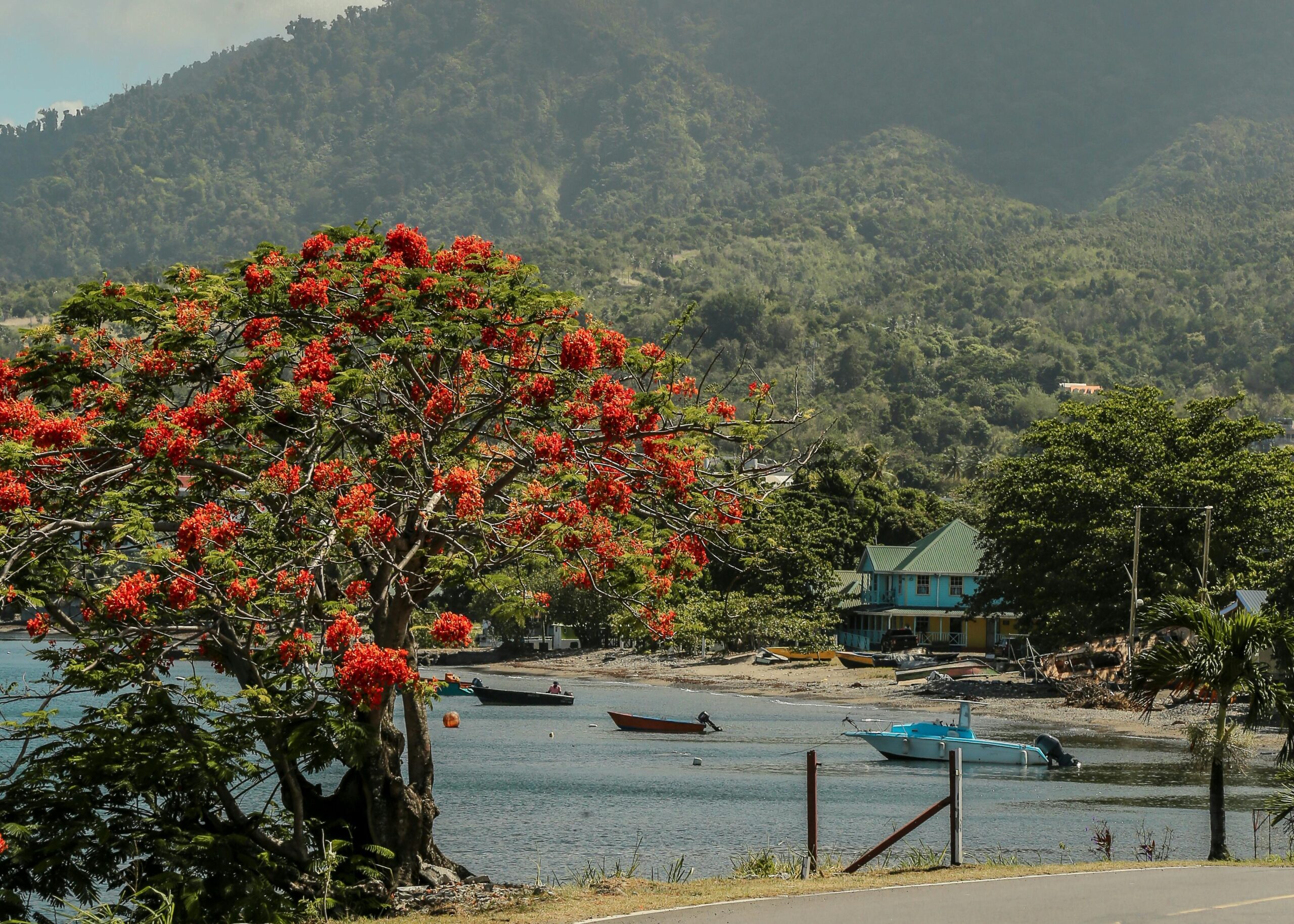 Dominica Process Service