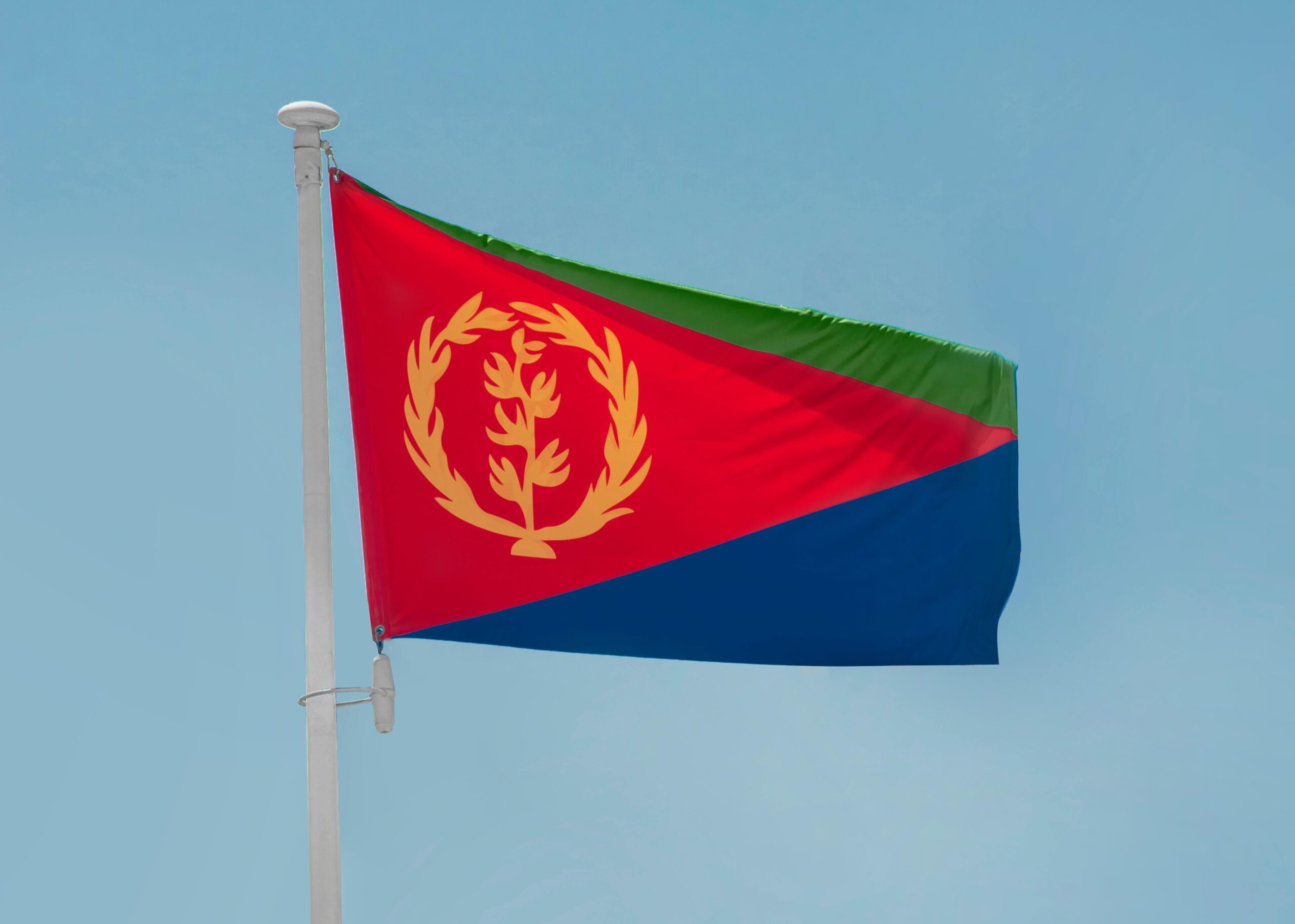 Eritrea Process Service
