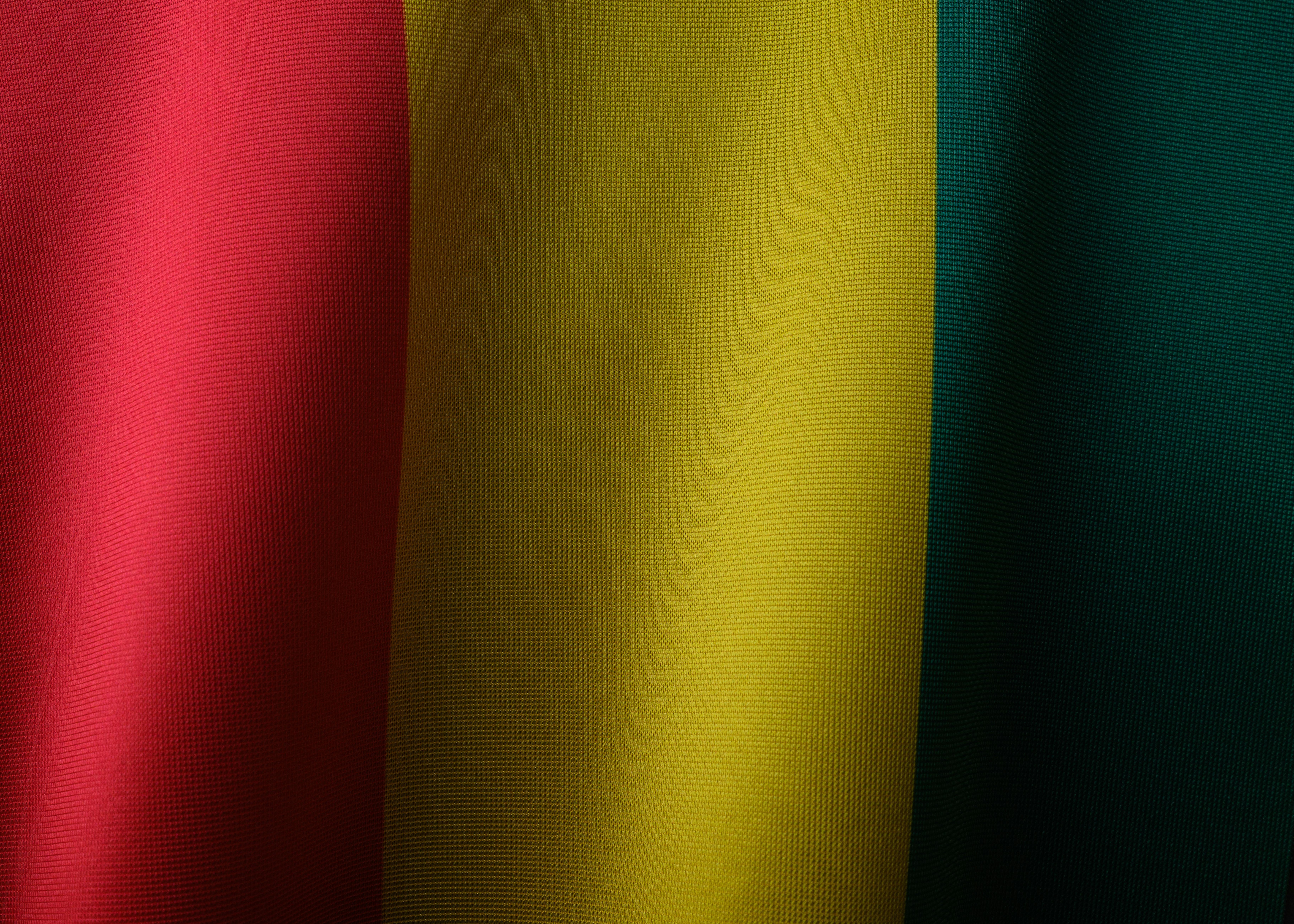 Guinea Process Service