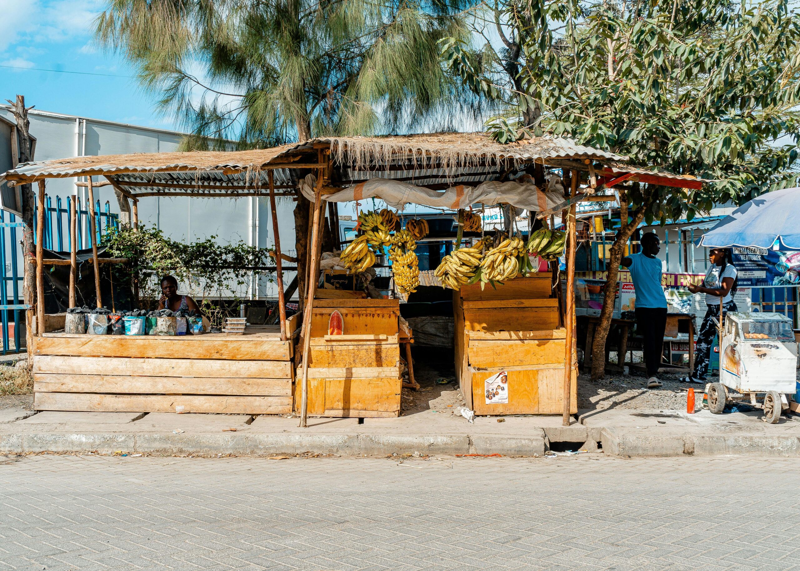 Kenya Process Service