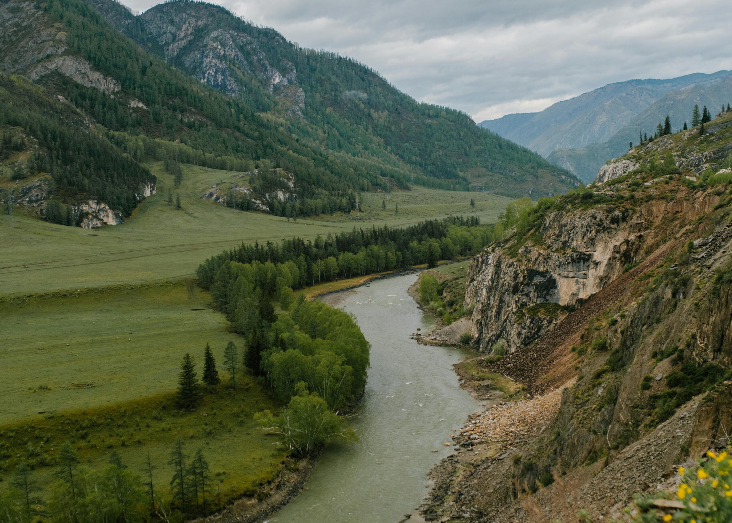 Mongolia Process Service