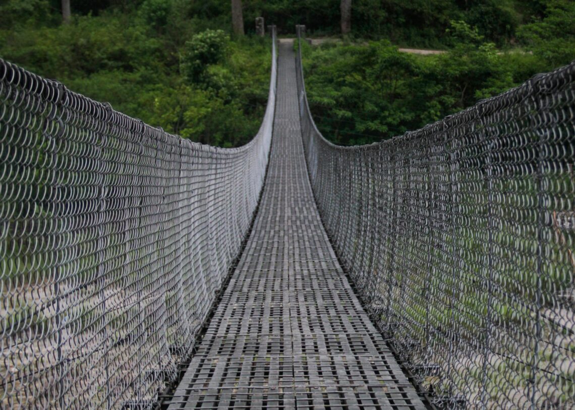 Nepal Process Service