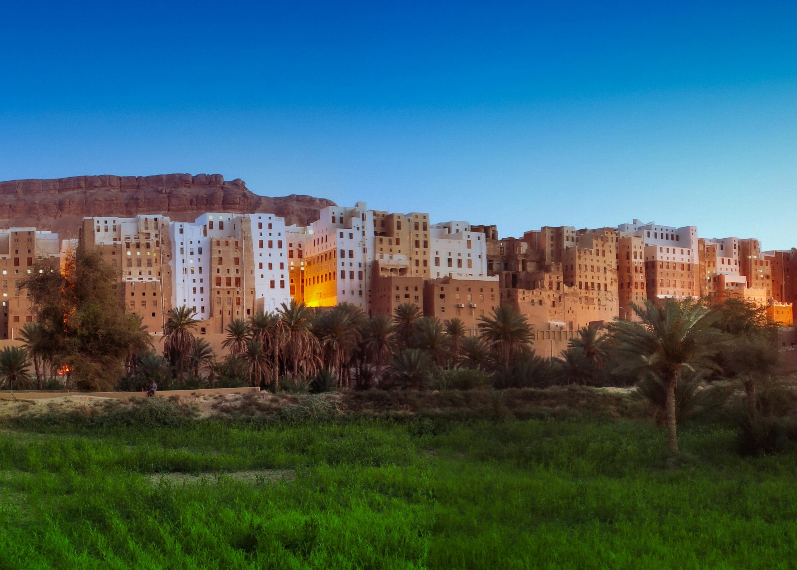 Yemen Process Service